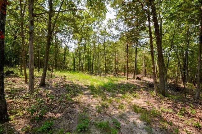 000 Us Highway 65, Home with 0 bedrooms, 0 bathrooms and null parking in Cross Timbers MO | Image 8
