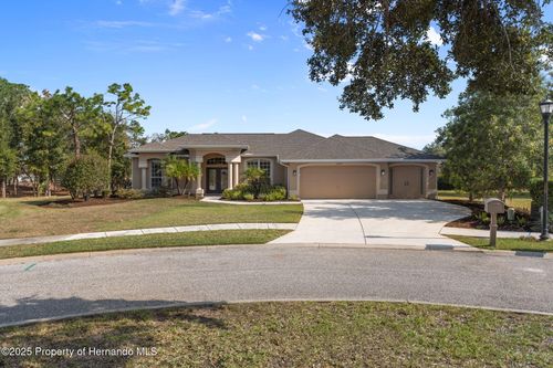 13097 Pastore Ct, SPRING HILL, FL, 34609-1742 | Card Image