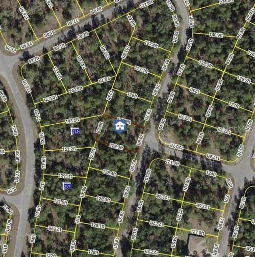 0 Fisher Course Ln, OCKLAWAHA, FL, 32179 | Card Image