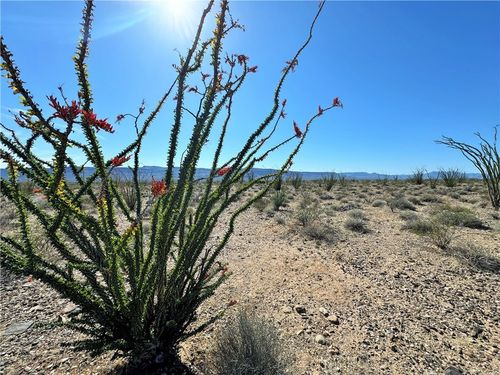 TBD Juniper Dr, Yucca, AZ, 86438 | Card Image