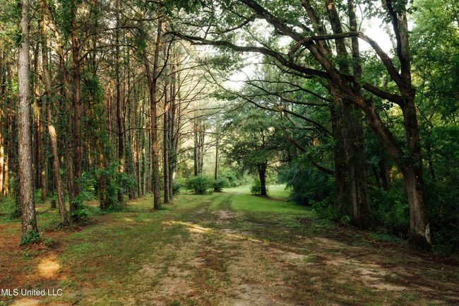 JG Puckett Cabin Pics-5 | Image 14