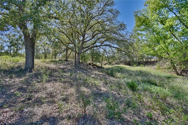 180 Sunny Day Drive, Home with 0 bedrooms, 0 bathrooms and null parking in Red Rock TX | Image 10
