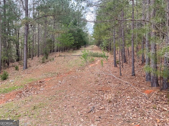 0 Green Oak Cir, Home with 0 bedrooms, 0 bathrooms and null parking in Thomaston GA | Image 33