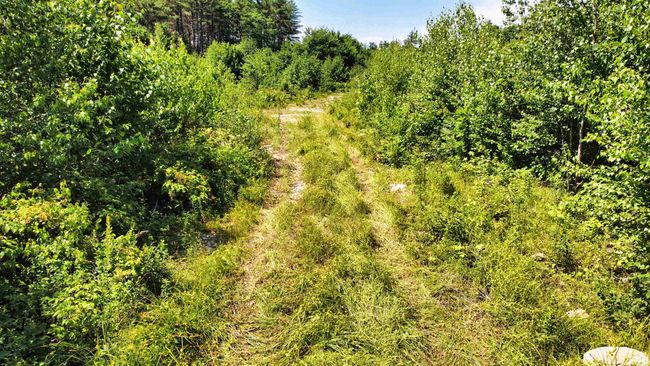 243 Currier Rd, Home with 0 bedrooms, 0 bathrooms and null parking in Andover NH | Image 8