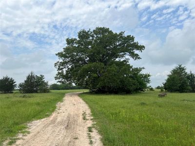 0 R13945 A0049 J Peterson Tract 11, Home with 0 bedrooms, 0 bathrooms and null parking in Anderson TX | Image 2