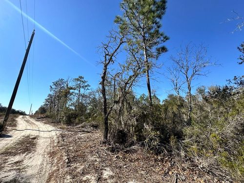 000 Ne 63rd Pl, WILLISTON, FL, 32696 | Card Image