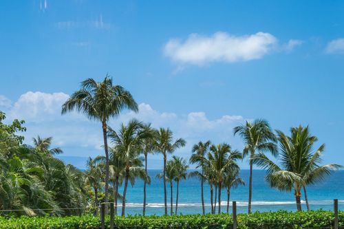 5102-1 Bay Dr, Lahaina, HI, 96761-9035 | Card Image