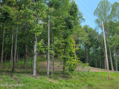 6 Cave Creek Rd, Falls Of Rough, KY, 40119-6413 | Card Image