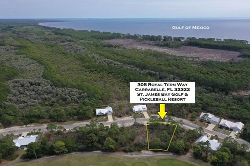 305 Royal Tern Way, CARRABELLE, FL, 32322-8030 | Card Image