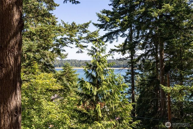 1237 Island Dr, House other with 2 bedrooms, 2 bathrooms and null parking in Lummi Island WA | Image 21
