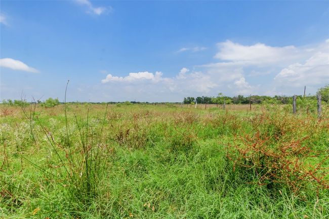View of nature featuring rural landscape | Image 12