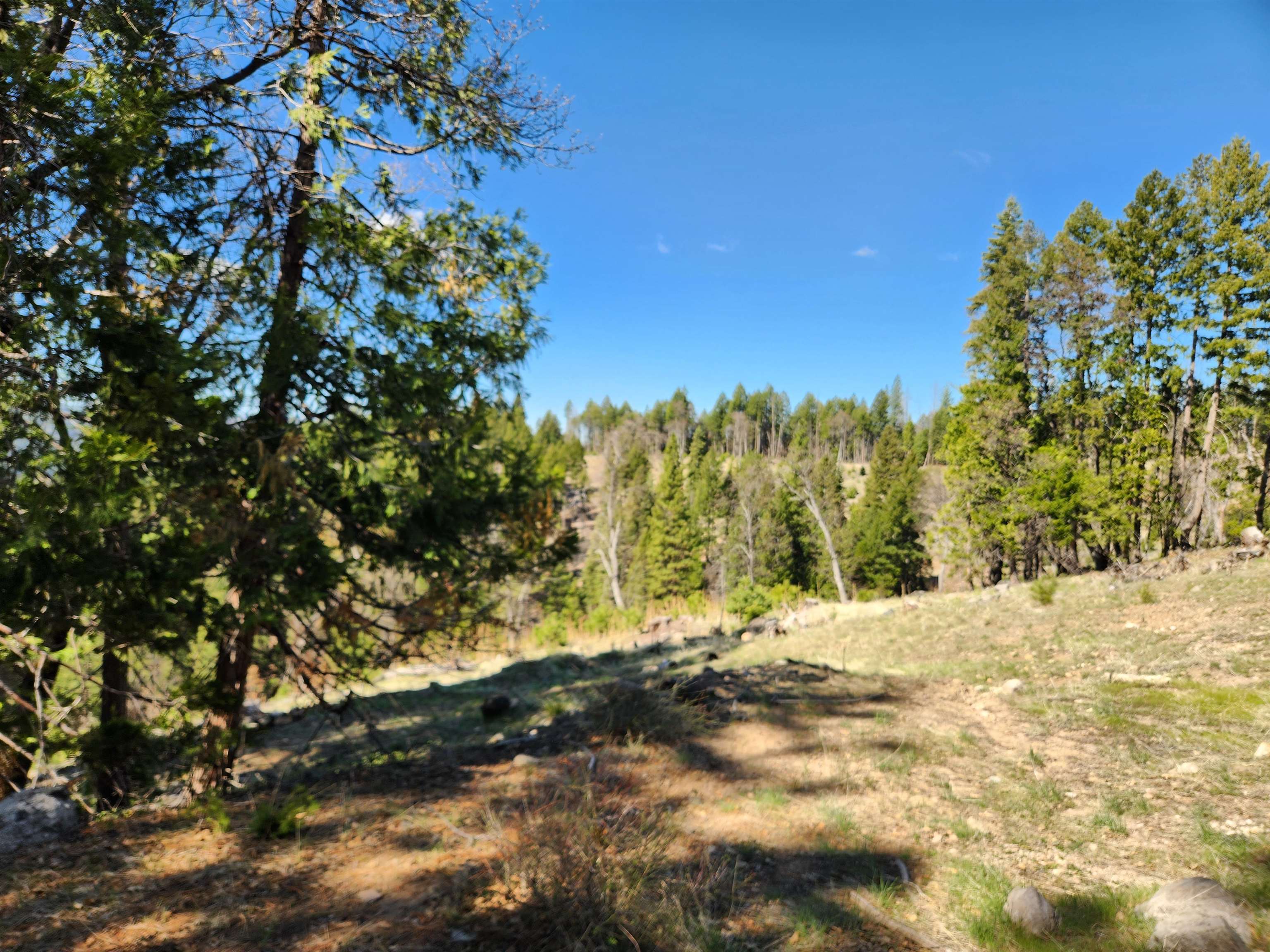 Land in Spring Garden 3