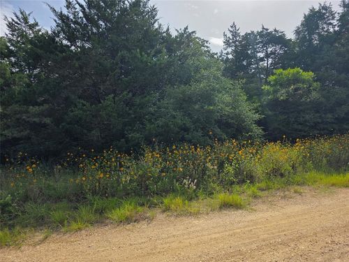 TBD Maple Dr, Caldwell, TX, 77836 | Card Image