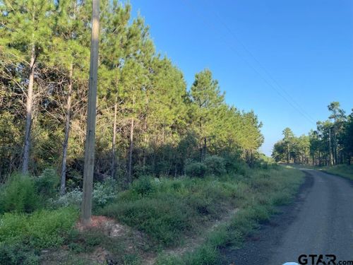 TBD (Lot 55) County Road 1060, Center, TX, 75935 | Card Image