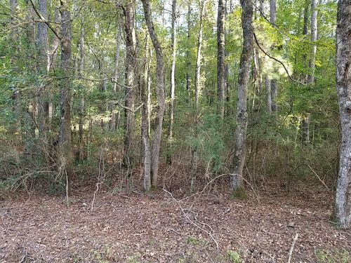 0 Buckhead Rd, Smoaks, SC, 29481 | Card Image