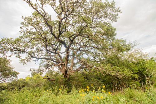 862 Dowdy Rd, Seguin, TX, 78155-8702 | Card Image