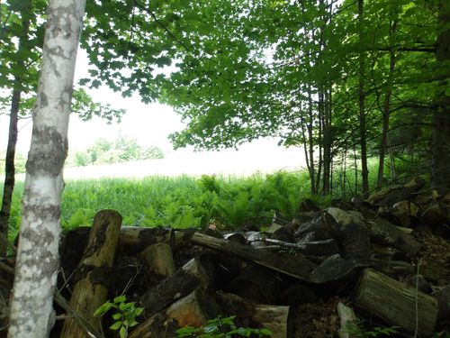 4 & 5 Forest Lane, Lyndon, VT, 05851 | Card Image