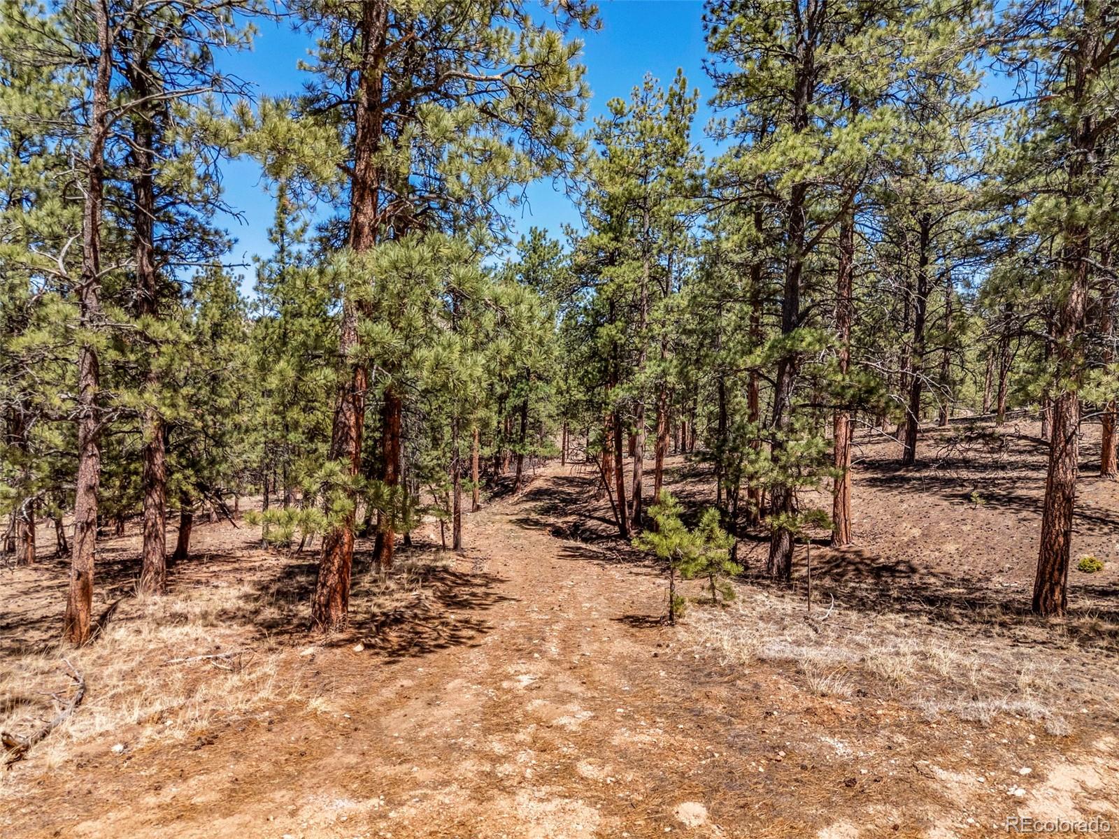 Land in Westcliffe 3