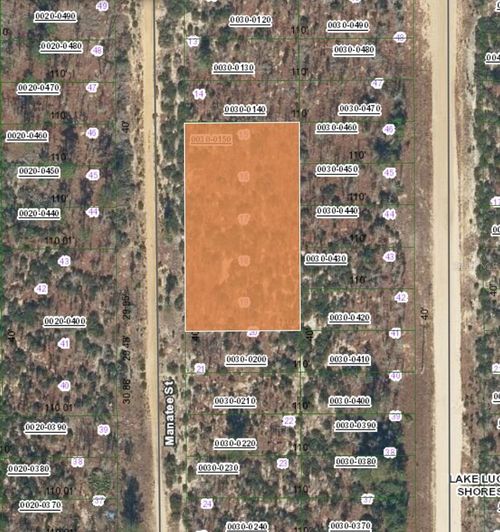 XX Manatee St, Interlachen, FL, 32148 | Card Image