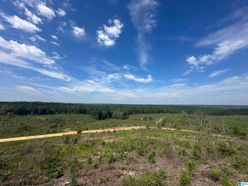 1-0 County Road 305, Maplesville, AL, 36750 | Card Image