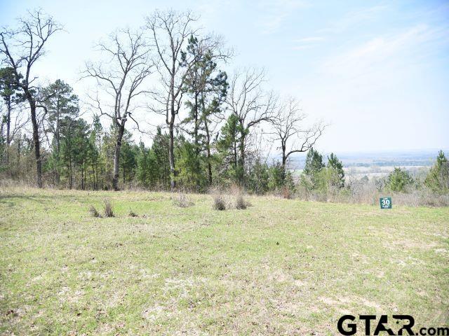 Land in Montalba 5