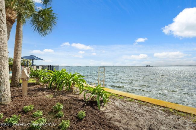 UNIT-411 - 1340 Bayshore Blvd, Condo with 3 bedrooms, 2 bathrooms and null parking in Dunedin FL | Image 43
