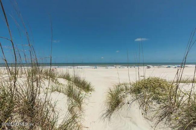 4427 Royal Tern Ct, House other with 5 bedrooms, 5 bathrooms and null parking in Jacksonville Beach FL | Image 70