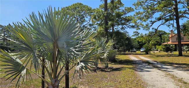 View of road featuring driveway | Image 23