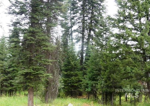 1 Clements Rd, McCall, ID, 83638 | Card Image