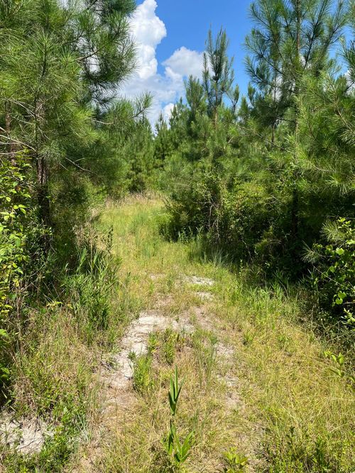 bff-5-5 N Hampton St, Kershaw, SC, 29067 | Card Image