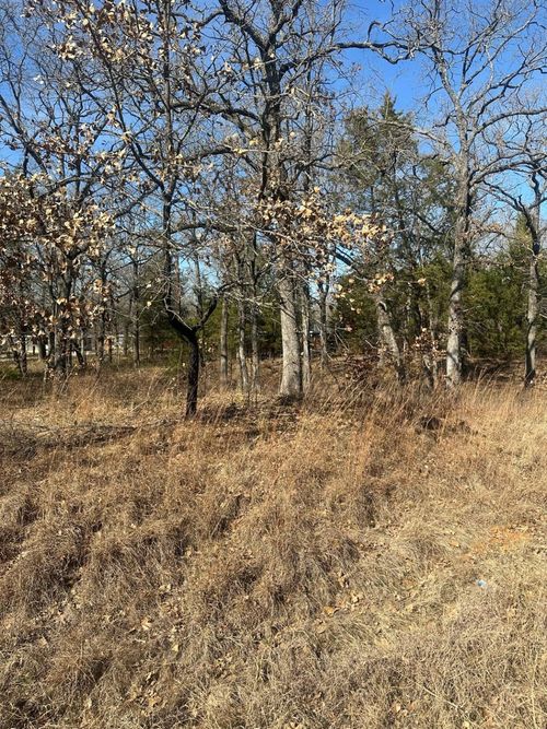 176 Oak Trail St, Mabank, TX, 75156-8962 | Card Image