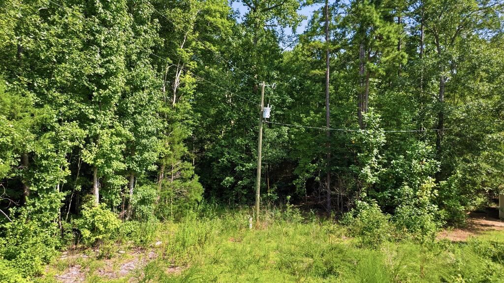 Land in Ware Shoals 2