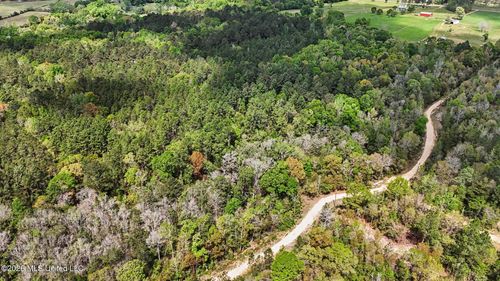 0 Pete Dixon Road, Lucedale, MS, 39452 | Card Image