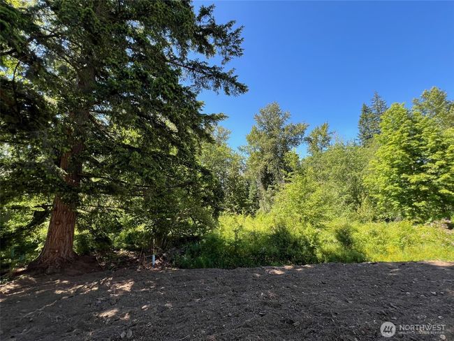 1103 Whidbey St, House other with 3 bedrooms, 2 bathrooms and 2 parking in Bellingham WA | Image 14