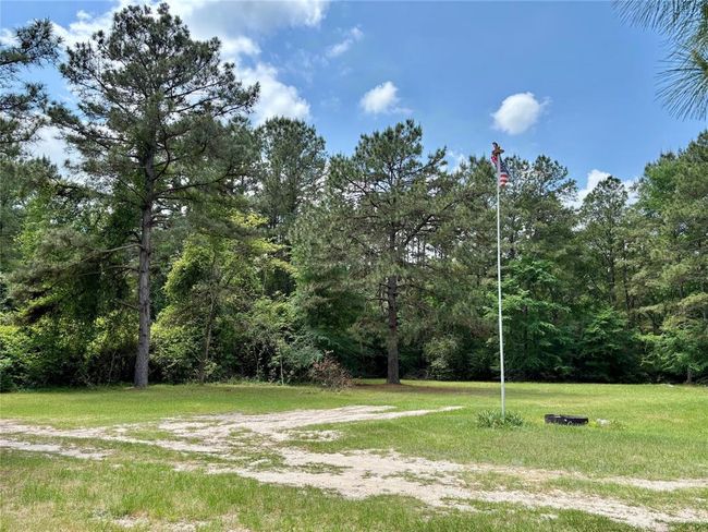 7481 County Road 232, Home with 0 bedrooms, 0 bathrooms and null parking in Richards TX | Image 4