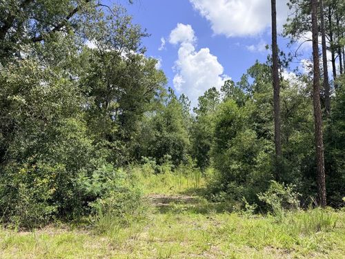 0 Ne 77th Pl, Bronson, FL, 32621 | Card Image