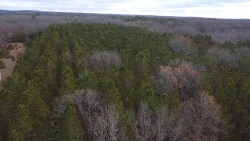 VL Highbridge Rd, Brethren, MI, 49619 | Card Image