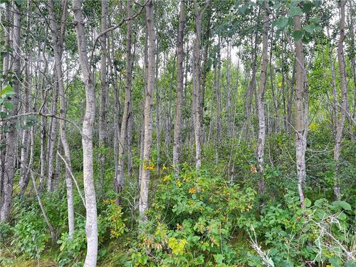 Lot 1 S Country Cir, Gordon, WI, 54838 | Card Image