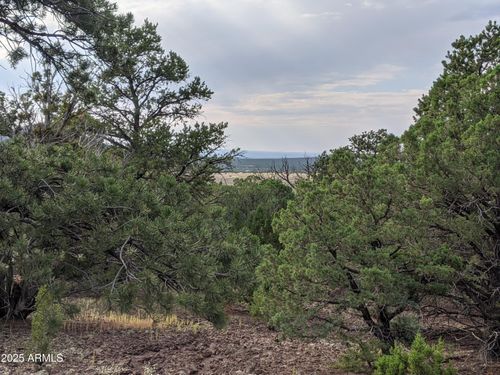 76-76 Dolly Drive, Vernon, AZ, 85940 | Card Image