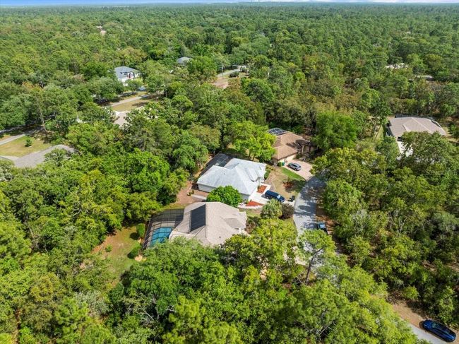 11 Nicotiana Ct, House other with 3 bedrooms, 2 bathrooms and null parking in Homosassa FL | Image 73