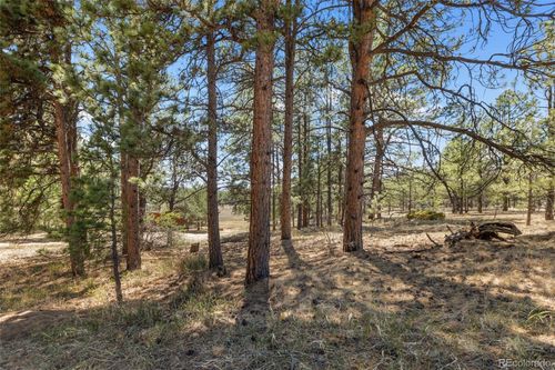 349 Rhyolite Ln, Florissant, CO, 80816-9270 | Card Image