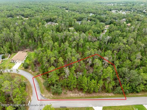 80 Bells Of Ireland Ct, Homosassa, FL, 34446-5817 | Card Image