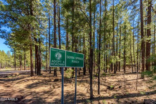 --00000 Sky Hi Road, Pinetop, AZ, 85935 | Card Image