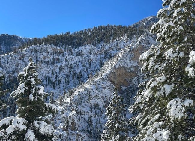 MT. CHARLESTON AREA - Four Seasons | Image 30