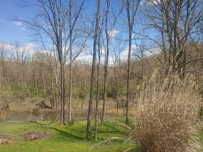 1105 Tennyson Rd, House other with 3 bedrooms, 2 bathrooms and null parking in Piketon OH | Image 5