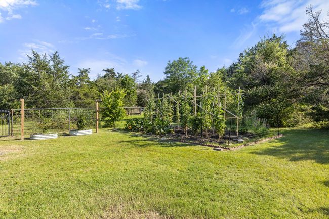 View of yard with a garden | Image 4