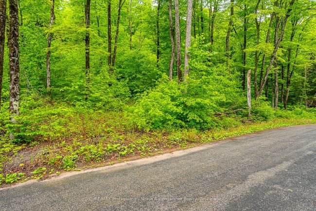 0 Grace River Rd, Home with 0 bedrooms, 0 bathrooms and null parking in Wilberforce ON | Image 6