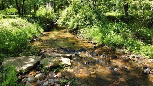 TRACT 1 Timber Ridge Rd, Blairsville, GA, 30512-5079 | Card Image