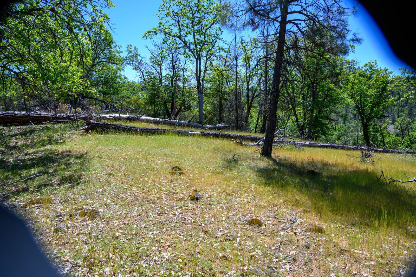 Land in Weaverville