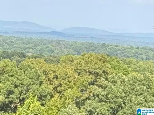 345 County Road 467, VINCENT, AL, 35178 | Card Image